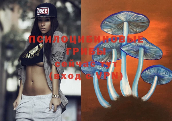 дмт Тихвин