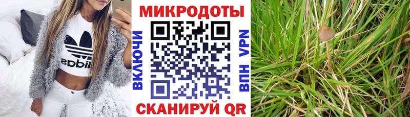 Псилоцибиновые грибы Cubensis  купить наркоту  Полтавская 
